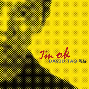 拍拍网友论坛视频在线
