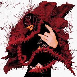 拍拍网友论坛视频在线
