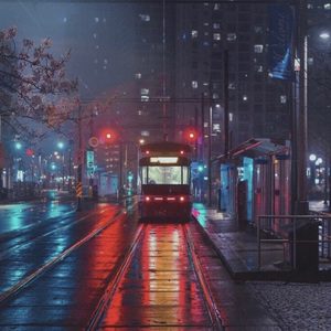 拍拍网友论坛视频在线
