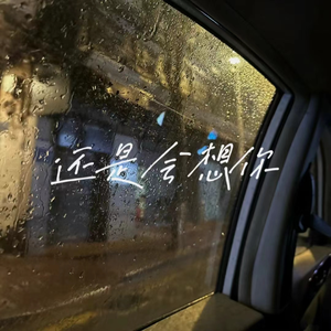 拍拍网友论坛视频在线
