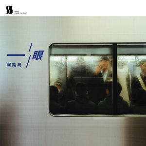 拍拍网友论坛视频在线
