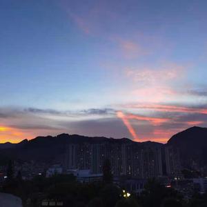 拍拍网友论坛视频在线
