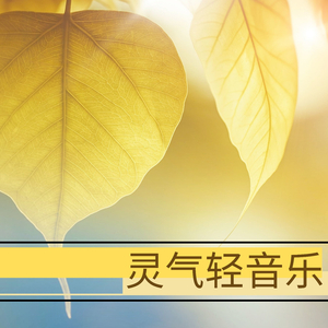 拍拍网友论坛视频在线
